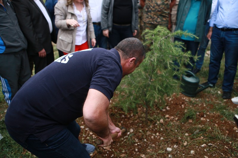 Cedar tree in memory of the Lebanese Commandos Regiment founder